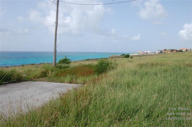 Green Point,St. Philip