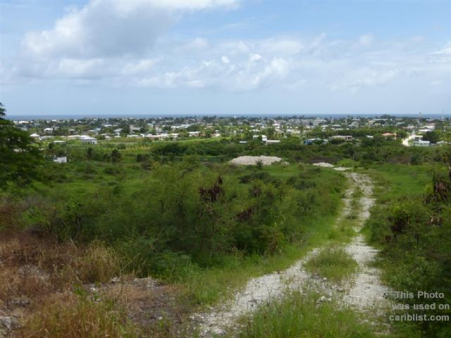 Near Gibbons,Christ Church