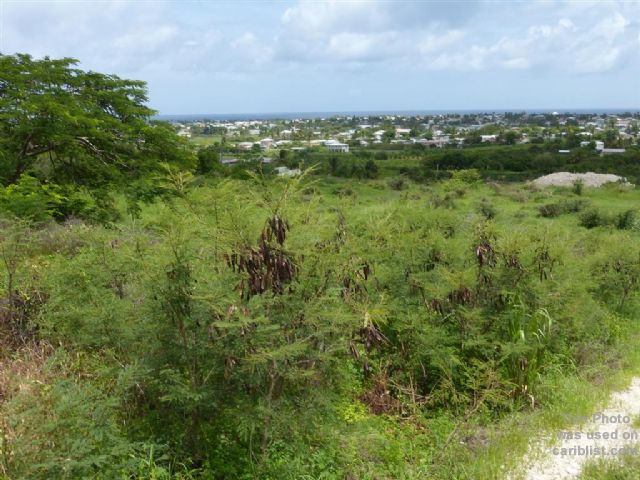 Near Gibbons,Christ Church