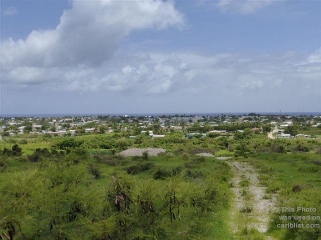 Near Gibbons,Christ Church