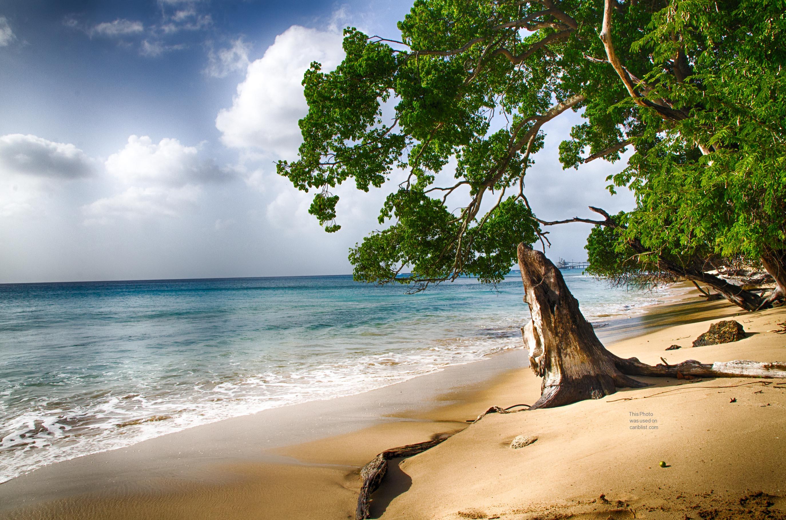 Shermans, Snugness,St. Peter