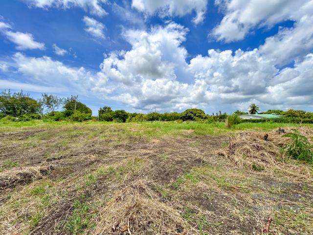 Neil's Plantation Lot 1-4,St. George