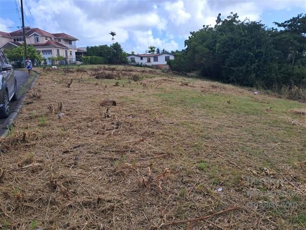 Rowans Park - Quite a large lot - Approximately 34,000 sq ft, quiet neighbourhood,St. George