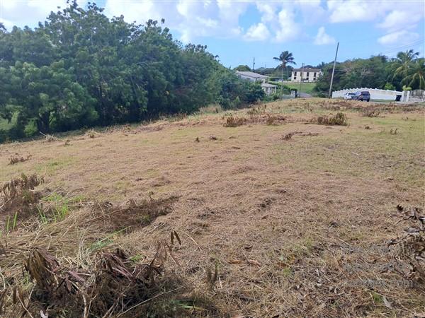 Rowans Park - Quite a large lot - Approximately 34,000 sq ft, quiet neighbourhood,St. George