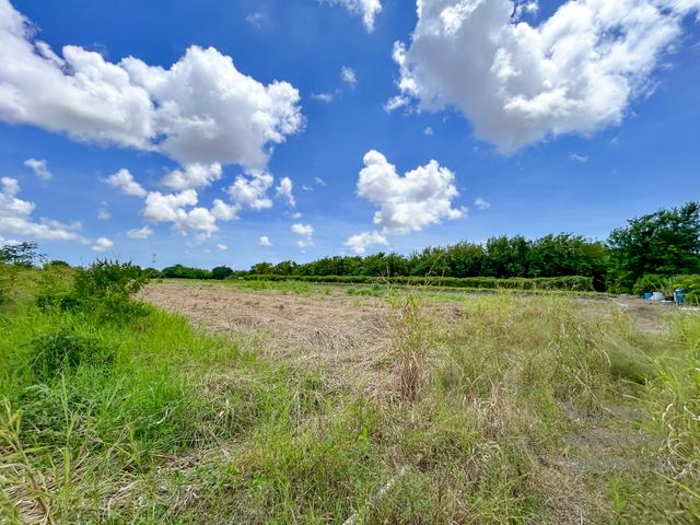 Neil's Plantation Lot 1-4,St. George